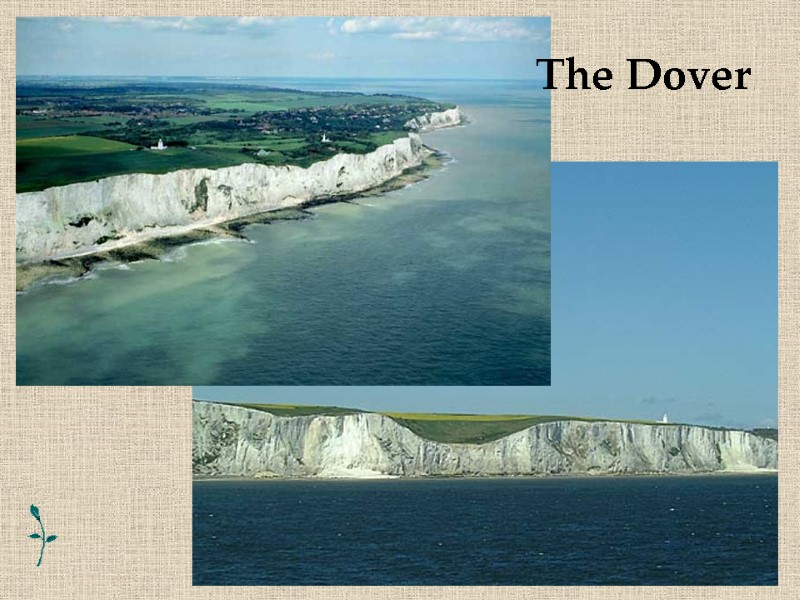 6 The Dover